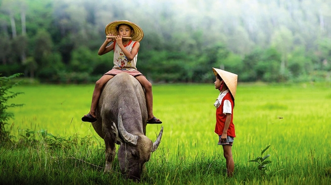 Xem tử vi ngày 5/5 cho tuổi Sửu Xem tử vi ngày 5/5 cho tuổi Sửu