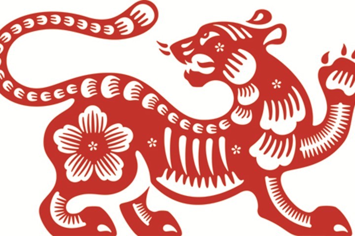 Diễn biến tử vi trọn đời Nhâm Dần nữ mạng 1962 Diễn biến tử vi trọn đời Nhâm Dần nữ mạng 1962