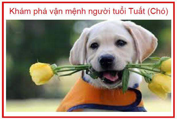 Diễn biến tử vi trọn đời Canh Tuất nữ mạng sinh 1970