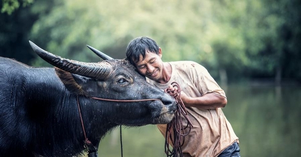 Tử vi thứ 3 ngày 25/7/2023 của tuổi Sửu