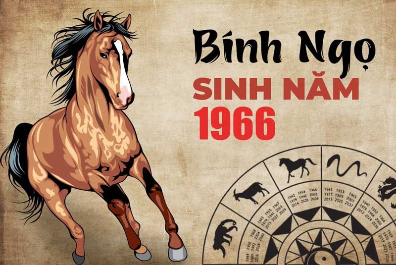 Thông tin tử vi trọn đời Bính Ngọ nam mạng