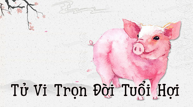 xem tử vi trọn đời tuổi Quý Hợi nam mạng trên tất cả các phương diện