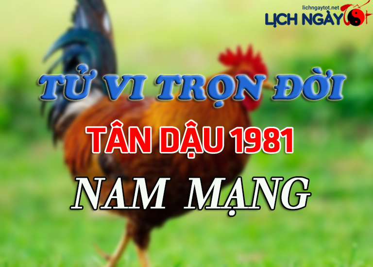 Tử Vi Trọn Đời Tuổi Tân Dậu 1981 Nam Mạng