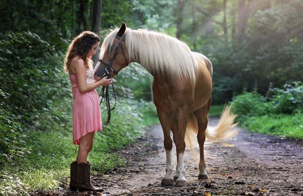 Tử vi thứ 2 ngày 25/12/2023 của tuổi Ngọ