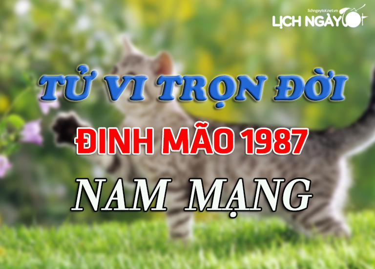 Tử vi trọn đời tuổi Đinh Mão 1987 nam mạng chuẩn xác nhất