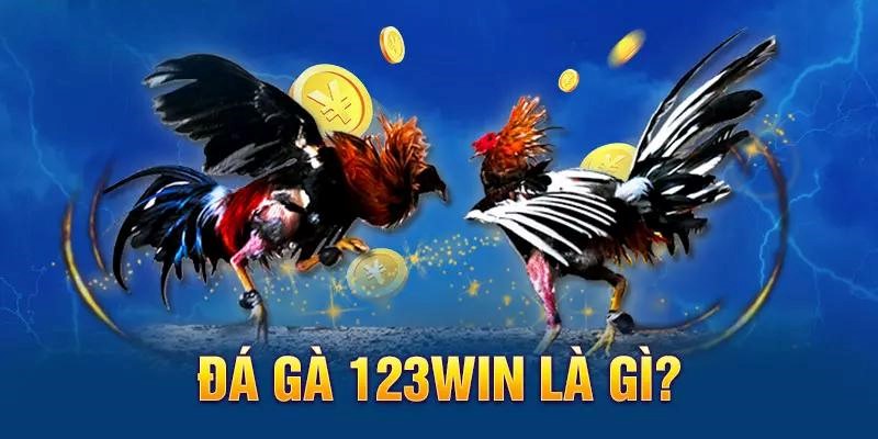 Sảnh đá gà của nhà cái 123win được thiết kế bắt mắt