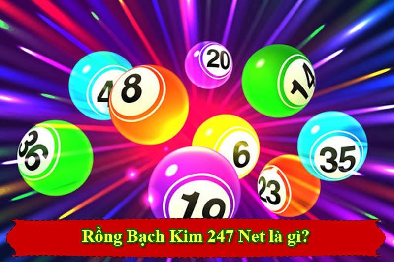 Rồng Bạch Kim 247 Net là gì?