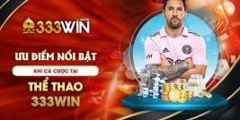 Giới thiệu về nhà cái cá cược 333win