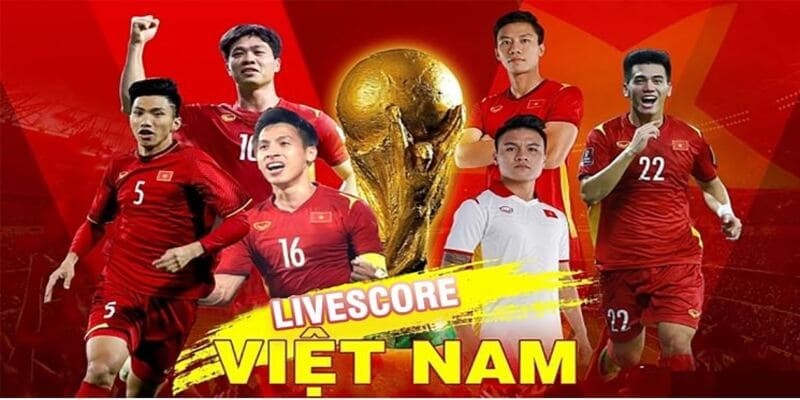 Giới thiệu chung về hệ thống giải trí Livescore Bongdalu