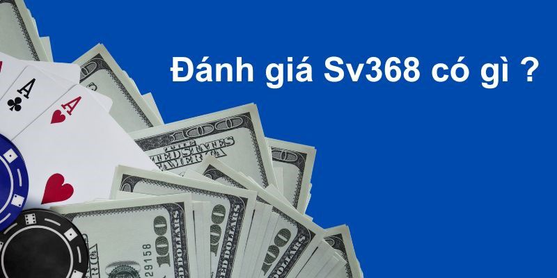 Đánh giá Sv368 có gì? 