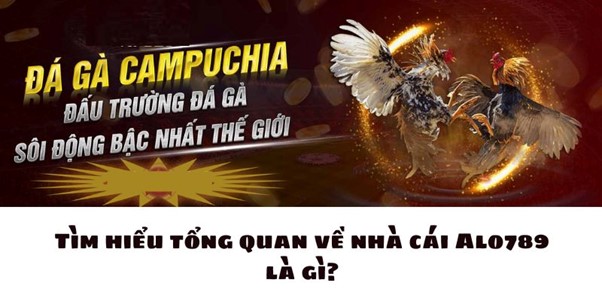 Tìm hiểu tổng quan về nhà cái alo789 là gì