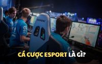 Tổng quan chung về cá cược Esport