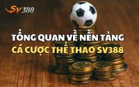 Cá cược thể thao SV388 với nhiều điều mới lạ đang chờ đợi anh em