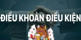 Cập nhật điều khoản và điều kiện mới nhất tại cổng game Yo88