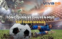 Chuyên mục Thể thao Viva88 có gì đặc sắc?