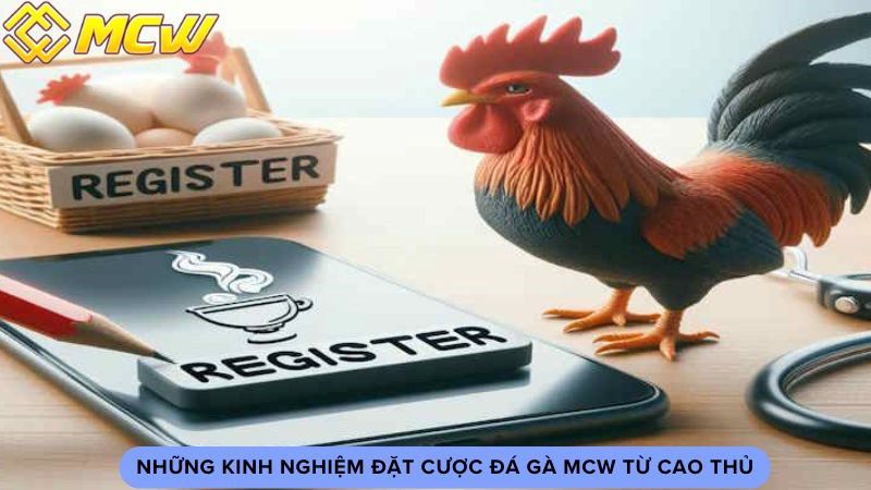 Những kinh nghiệm đặt cược đá gà MCW từ cao thủ