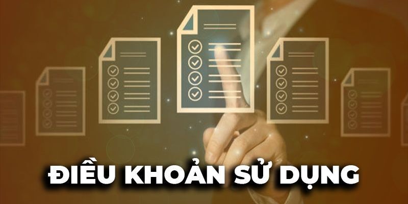 Trách nhiệm hội viên khi tham gia Viva88