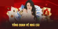 vn168 - Nền tảng cá cược trực tuyến uy tín và chuyên nghiệp