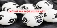 Tổng Quan về Xổ Số Hà Nội VIP